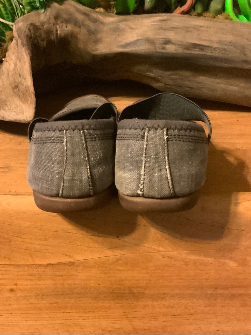 Keen Olive Green Canvas Mary Jane Shoes with Brown Toe - Picture 4 of 6